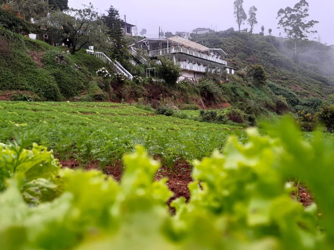 The Farm House Nuwaraeliya ヌワラ・エリヤ エクステリア 写真
