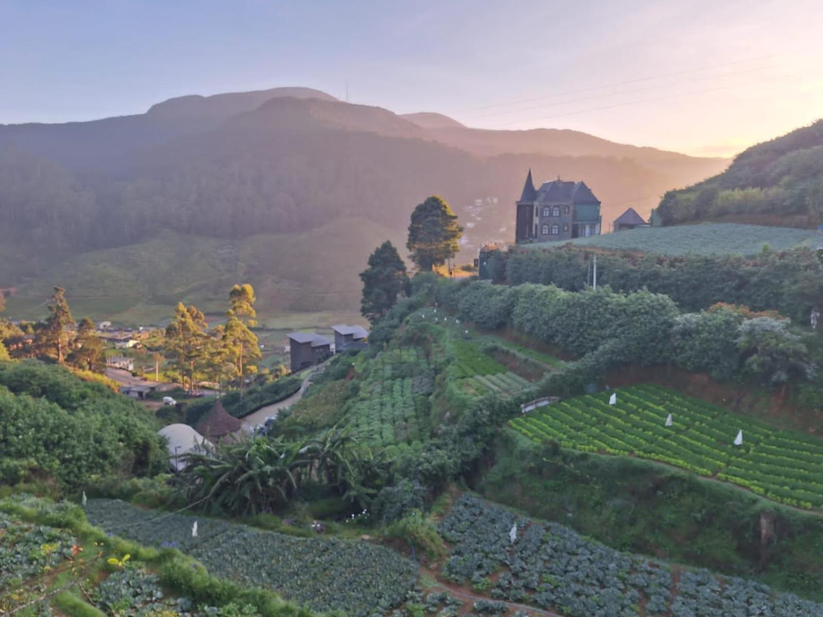 The Farm House Nuwaraeliya ヌワラ・エリヤ エクステリア 写真