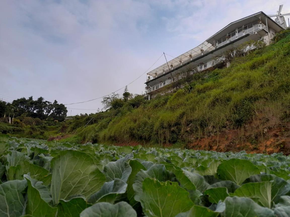 The Farm House Nuwaraeliya ヌワラ・エリヤ エクステリア 写真