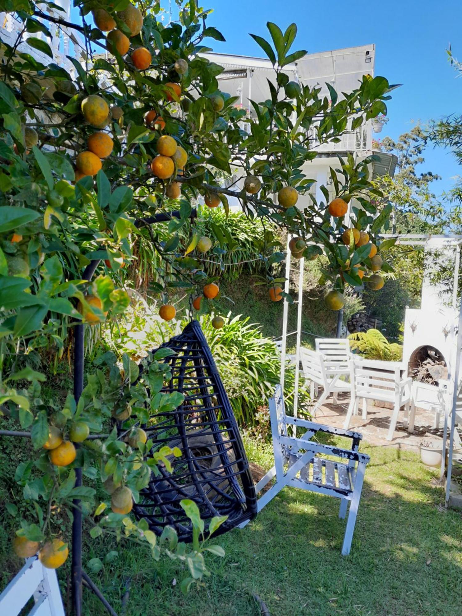 The Farm House Nuwaraeliya ヌワラ・エリヤ エクステリア 写真